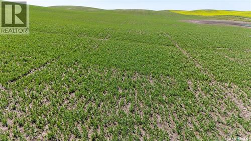 7 Quarters Grainland Near Coderre (Strieb), Sutton Rm No. 103, SK 
