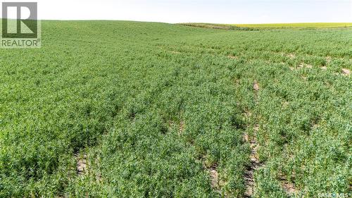 7 Quarters Grainland Near Coderre (Strieb), Sutton Rm No. 103, SK 