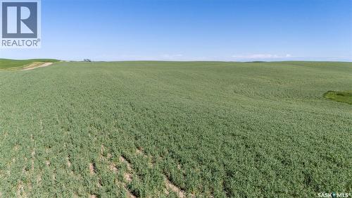 7 Quarters Grainland Near Coderre (Strieb), Sutton Rm No. 103, SK 