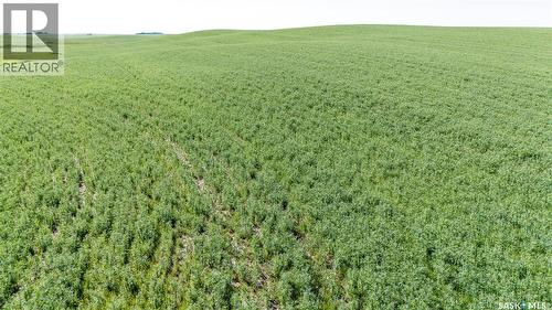 7 Quarters Grainland Near Coderre (Strieb), Sutton Rm No. 103, SK 