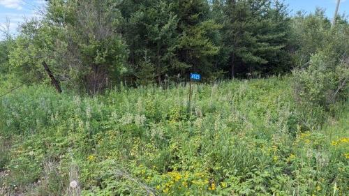 6525 Hwy 61, Crooks/Neebing, ON 