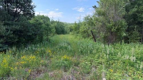 6525 Hwy 61, Crooks/Neebing, ON 