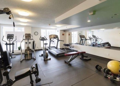 Exercise Room - 1003-650 Rue Jean-D'Estrées, Montréal (Ville-Marie), QC - Indoor Photo Showing Gym Room