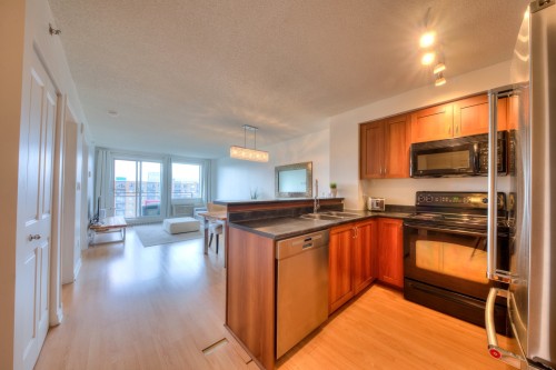Kitchen - 1003-650 Rue Jean-D'Estrées, Montréal (Ville-Marie), QC - Indoor Photo Showing Kitchen With Double Sink