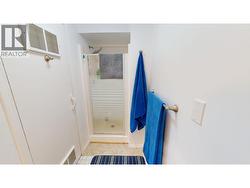 Lower level Bathroom - 