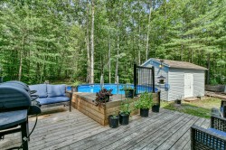 Patio - 