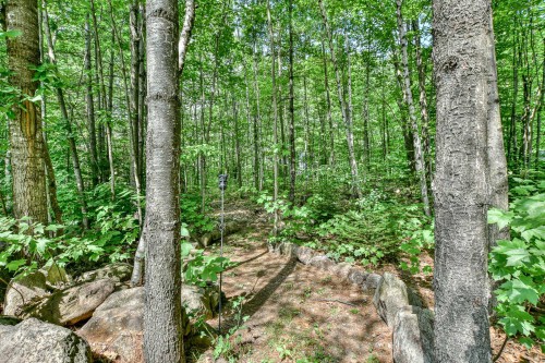 Cour - 40 Rue Langlois, Saint-Hippolyte, QC - Outdoor