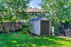 Shed - 