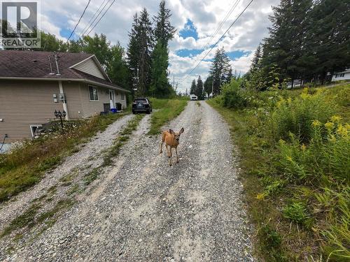 380 Dennis Road, Quesnel, BC - Outdoor