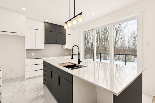 Cuisine - 77 33E Avenue, Saint-Blaise-Sur-Richelieu, QC - Indoor Photo Showing Kitchen With Double Sink With Upgraded Kitchen