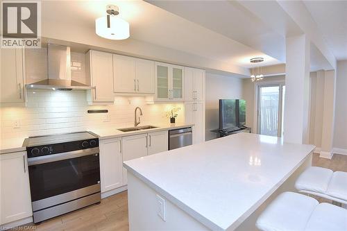 519 Southridge Drive, Hamilton, ON - Indoor Photo Showing Kitchen With Double Sink With Upgraded Kitchen