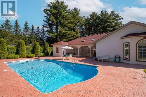 58 Mourning Dove Trail, Tiny, ON - Outdoor With In Ground Pool
