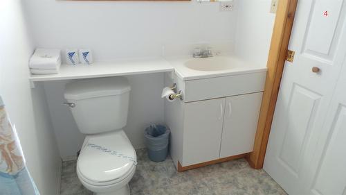 6532 Wasa Lake Park Drive, Wasa, BC - Indoor Photo Showing Bathroom