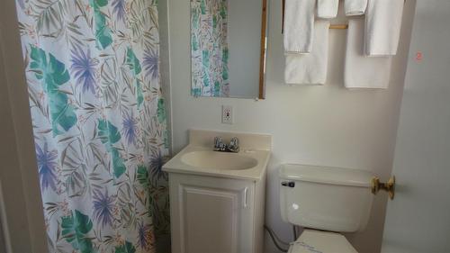 6532 Wasa Lake Park Drive, Wasa, BC - Indoor Photo Showing Bathroom