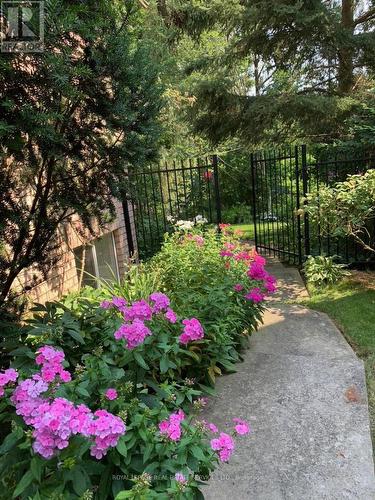 1726 The Pines, Mississauga, ON - Outdoor