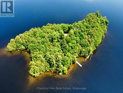 1 CEDAR ISLAND  Muskoka Lakes (Wood (Muskoka Lakes)), ON P0B 1J0
