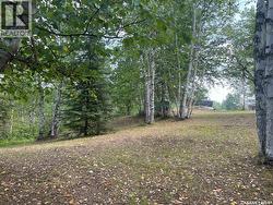 14 Andrews WAY Cowan Lake, SK S0J 0E0