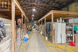 9 box stalls - 