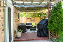 Backyard - 