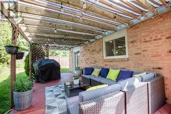 Backyard - 