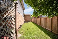 Backyard - 