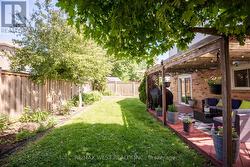Backyard - 