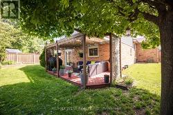 Backyard - 