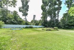 Large Back Yard - 