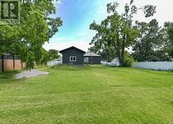 Back Yard - 