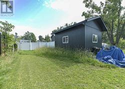 Side Yard - 