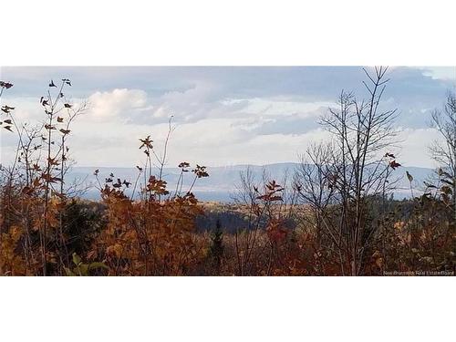 - Mitchell, Belledune, NB 