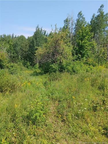 - Mitchell, Belledune, NB 