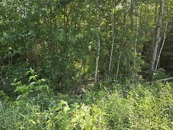Lot 2 Highway 101  Ellershouse, NS B0N 2T0