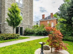 Garden - 