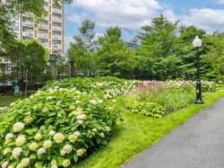 Garden - 