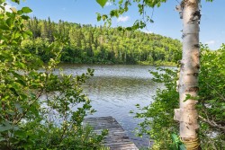 Bord de l'eau - 