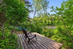 Bord de l'eau - 