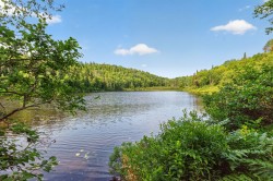 Bord de l'eau - 