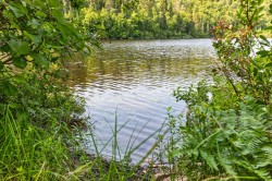 Bord de l'eau - 