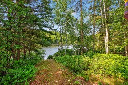 Bord de l'eau - 