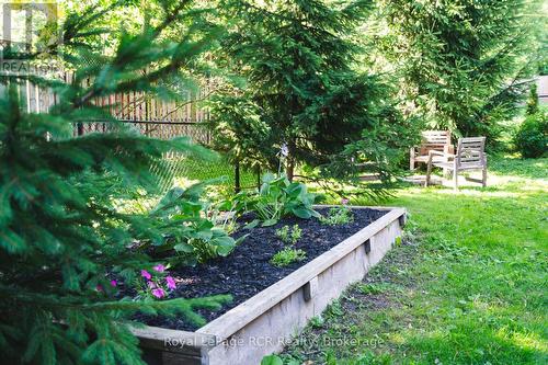 246 16Th Avenue Crescent, Hanover, ON - Outdoor