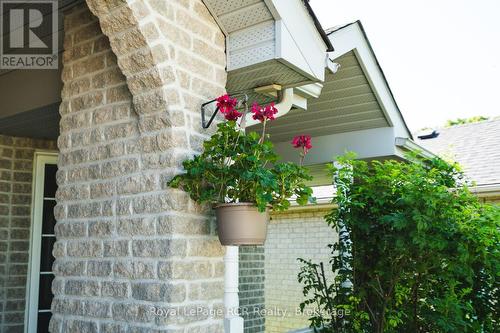246 16Th Avenue Crescent, Hanover, ON - Outdoor