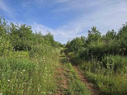 Acreage Deblois Road  Deblois, PE C0B 2B0