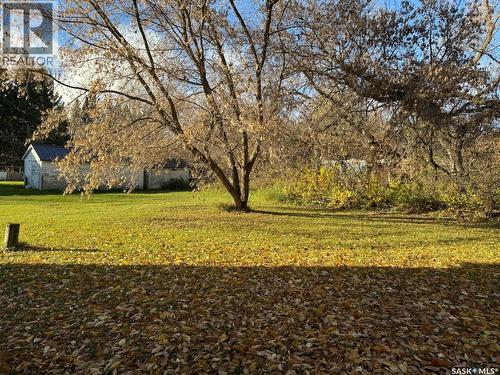 19 1St Avenue N, Hyas, SK 