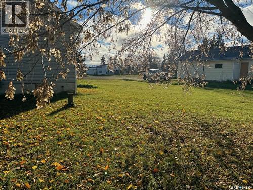 19 1St Avenue N, Hyas, SK 