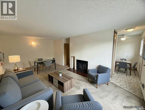 202 15 Alport Crescent, Regina, SK - Indoor Photo Showing Living Room With Fireplace
