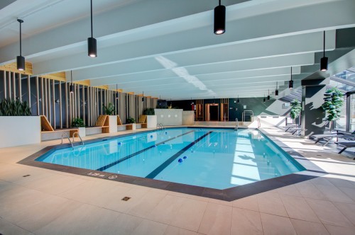 Piscine - 307-8 Rue Riverside, Saint-Lambert, QC - Indoor Photo Showing Other Room With In Ground Pool