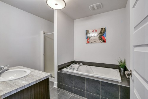 Salle de bains - 307-1440 Av. De Rochechouart, Saint-Jérôme, QC - Indoor Photo Showing Bathroom