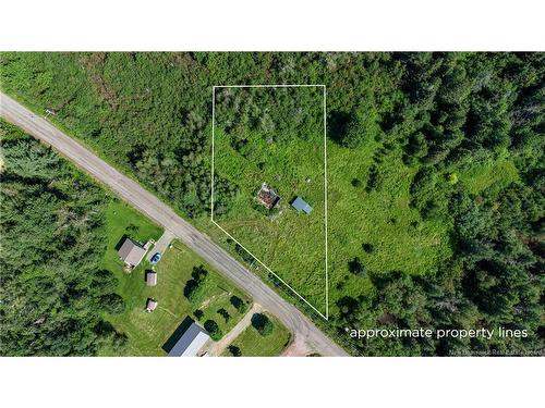 455 Murray Rd, Saint-Antoine, NB - Outdoor With View