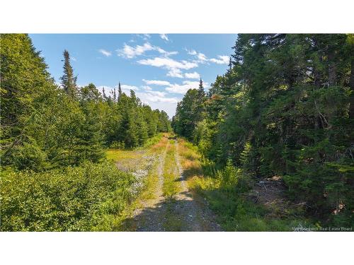 294 Route 172, Letang, NB - Outdoor With View